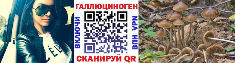 Псилоцибиновые грибы Psilocybe  Купить  Орск 